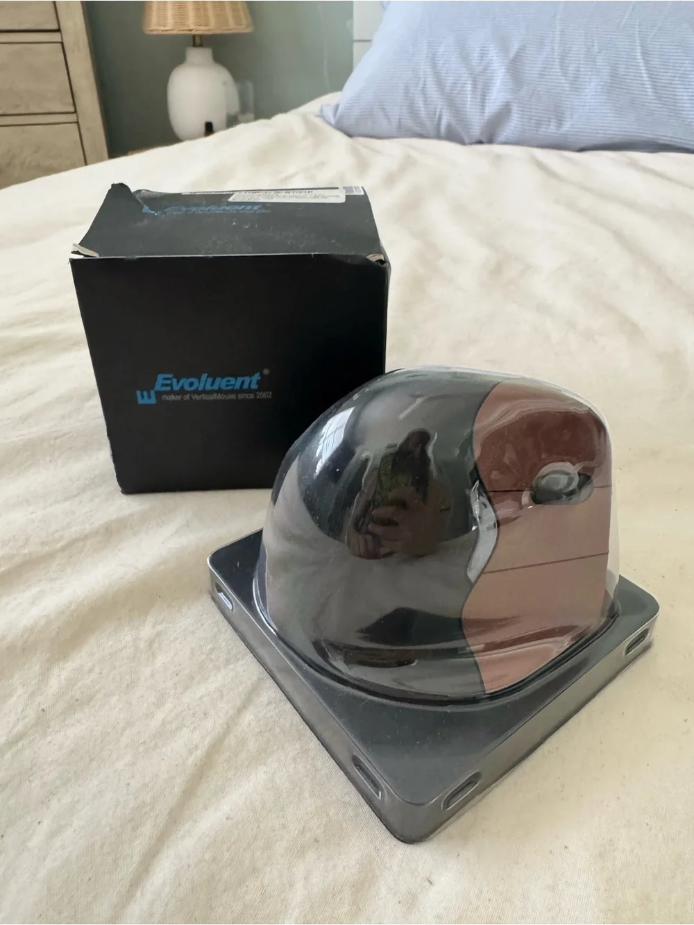 Evoluent Right-Hand Vertical Ergonomic Wireless USB Mouse